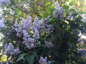 Гостевой Дом на Куйбышева