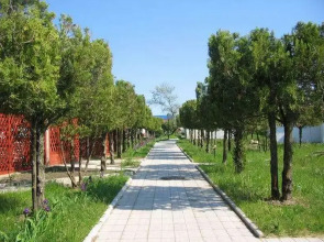 База отдыха Динамо 1