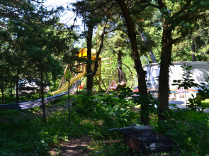 Гостевой дом Лодж Алтай