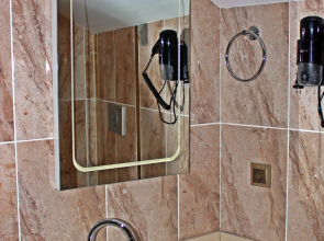 Отель Feza otel