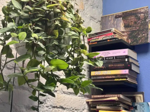 Меблированные комнаты на Жуковского