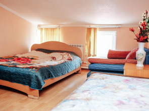 Отель Новинка