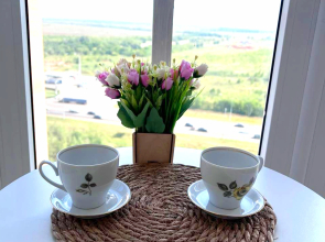 Апартаменты еЖИВИка на Карпова 3/1