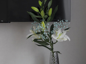 Квартира Студия Осенний Лес в ЖК Прокшино