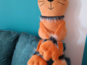 Квартира В гости к Питерскому Коту