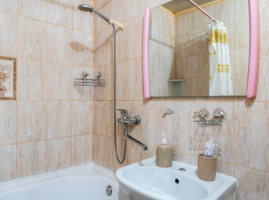 Уютные апартаменты Natali на метро Зюзино