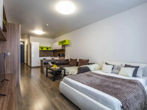 4 Апартаменты Радиус (21)