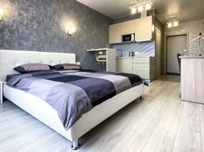 Апартаменты Guesthouse Бизнес 1