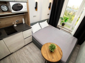 ДзенХоум Воплощение 8271