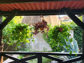 Гостевой дом Бамбуковый Рай