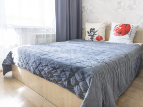 Prince Apartments na Puskina 32/24