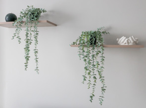 Апартаменты Двухкомнатные на Крузернштерна