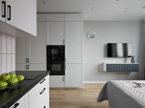 Квартира Заневский 815