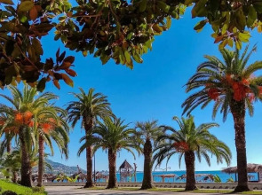 Мини-отель Calipso Sea