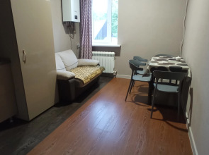 Апартаменты Artgom