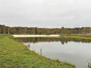 Частный дом Уютный Барнхаус в коттеджном поселке