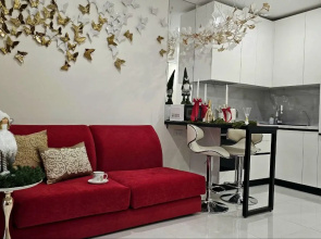 Studiya S Kaminom Flat