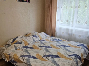 Tsentr Kopeyska Flat