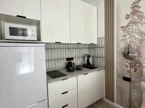 Апартаменты Уютная студия