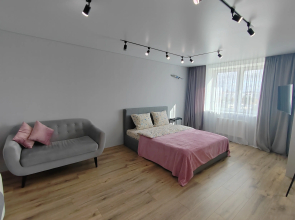 Studiya Klimari S Vidom Na Kryshi Vitebska Apartments