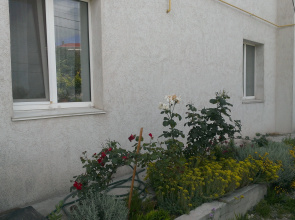 Guest House Wild Rose