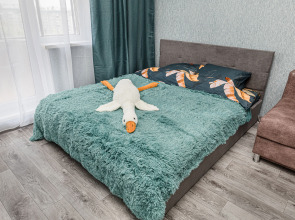 Квартира большая в центре Северо-Запада