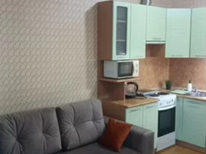 Uyutnaya Studiya Dlya Semyi S Detymi I Zhivotnymi Flat