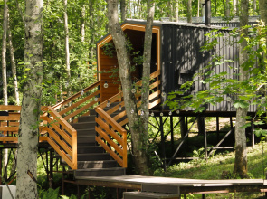Black Village Camping
