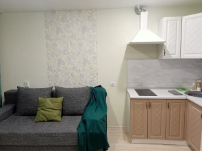 Квартира на Николая Семенова 33