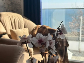 Uyutnaya U Morya Miskhor Flat