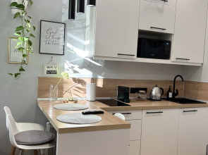 Квартира с парковкой в центре Санкт-Петербурга 1