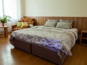 Гостевой дом Тургенева 188