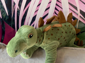 Апартаменты Studio V Botanica