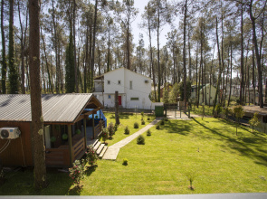 Magnetaris Family Paradise in Woods Villa