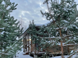 Дом наедине с природой