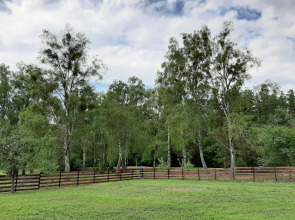 Дом Усадьба Мшанка