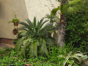 Гостевой дом Ксения у моря