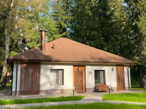 Отель Ruza Forest