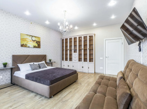 Квартира на Козицына 8 ЖК Селен