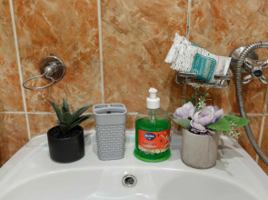 Квартира SmolSutki Ново-Чернушенский переулок 1/2 (2комн)