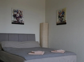 Апартаменты Окей Дом