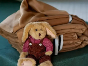 Апартаменты Plantage 1 на Пионерской