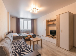 Апартаменты на Револиционной