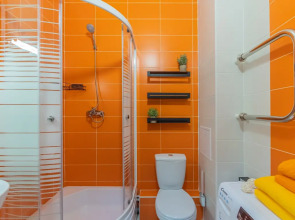 Апартаменты Классические SalutApart 8