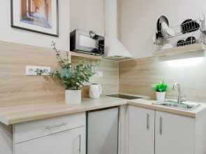 Апартаменты Монохромная Красноармейская