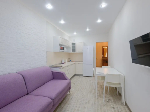 Апартаменты Петровские на Советской 90 (8)