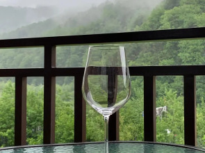 Апартаменты SimSim (75)