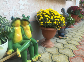 Гостевой Дом У Дмитрия