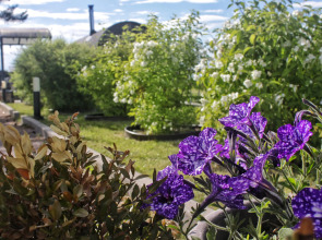 Частный дом Семейное эко-пространство Домик у моря