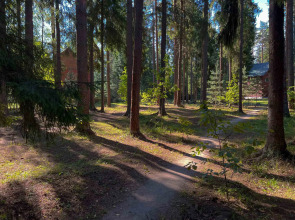 База отдыха Плещеево